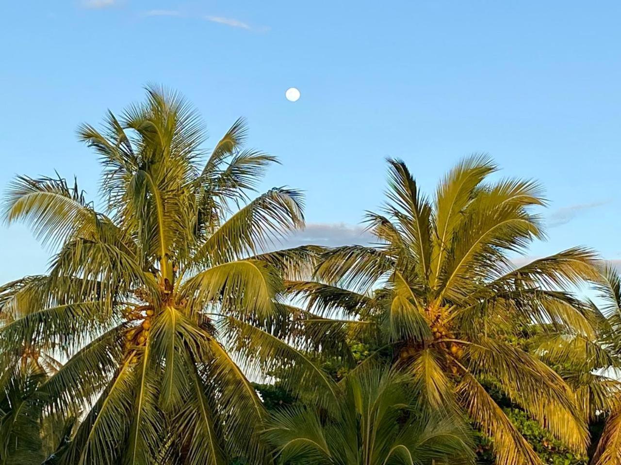 Sasagara Beach Villa Tangalle Dış mekan fotoğraf